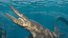 The Proof Is Out There