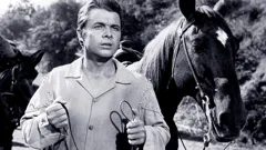 The Wild And The Innocent