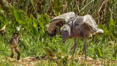 Andy's Safari Adventures