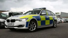 Traffic Cops
