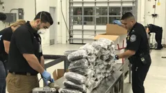 Border Force America's Gatekeepers