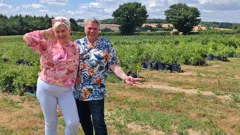 The Great B&B Challenge