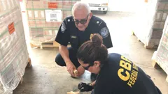 Border Force America's Gatekeepers