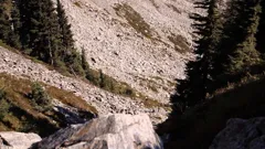 Curse of the Frozen Gold