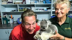 Great Australian Railway Journeys