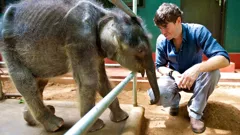 Indian Ocean with Simon Reeve