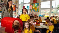 Waffle the Wonder Dog