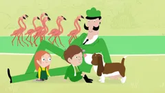 Peek Zoo (As Gaeilge)