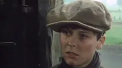 All Creatures Great and Small