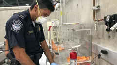 Border Force America's Gatekeepers