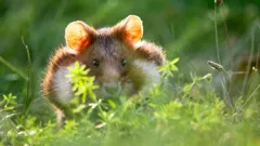 Andy's Global Adventures