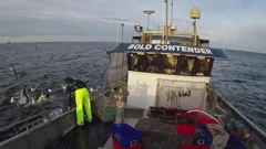 Giant Lobster Hunters