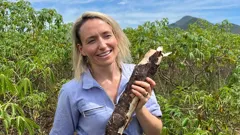 Food Unwrapped's Nordic Adventure