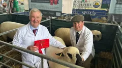 The Yorkshire Vet