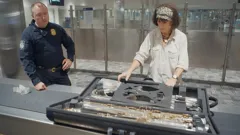 Airport Security USA