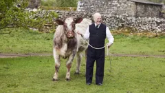 All Creatures Great and Small