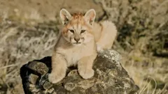 Andy's Global Adventures