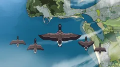 Where The Wild Geese Go