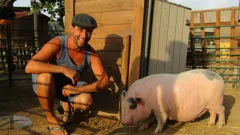 Bargain-Loving Brits in the Sun