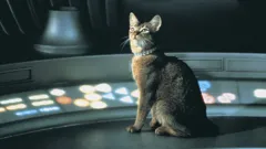 The Cat from Outer Space