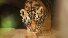 Andy's Global Adventures