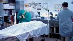 Forensic Detectives