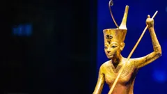 The Curse Of King Tut