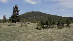 Conspiracy Files Unsealed