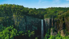 I'm a Celebrity... Get Me Out of Here! Coming Out