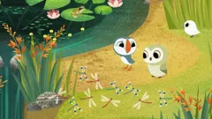 Puffin Rock