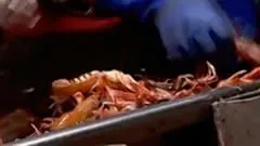 Trawlermen