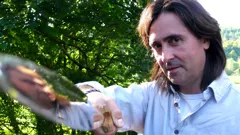 The World of Stonehenge