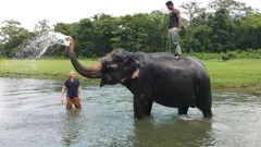 Man and Beast with Martin Clunes