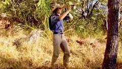 Andy's Wild Adventures