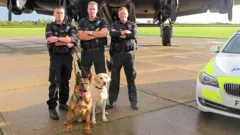 Police Interceptors