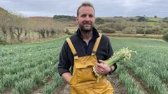 Devon and Cornwall at Christmas