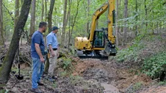 The Curse Of Civil War Gold