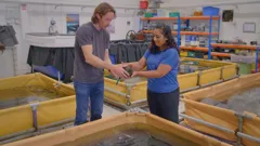 Digging Up Britain's Past