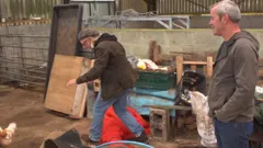 Find It, Fix It, Flog It