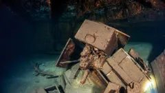 Mysteries Of The Deep