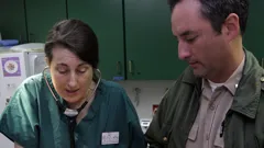 Animal Cops San Francisco