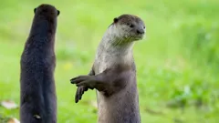 Andy's Global Adventures