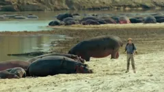 Andy's Wild Adventures