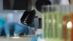 Bloodline Detectives