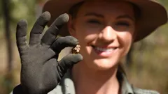 Aussie Gold Hunters