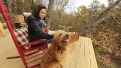 Maine Cabin Masters