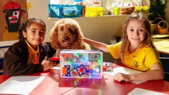 Waffle the Wonder Dog