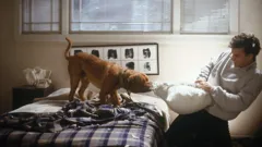 Turner & Hooch
