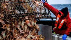 Deadliest Catch