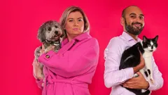 Cats and Dogs at War